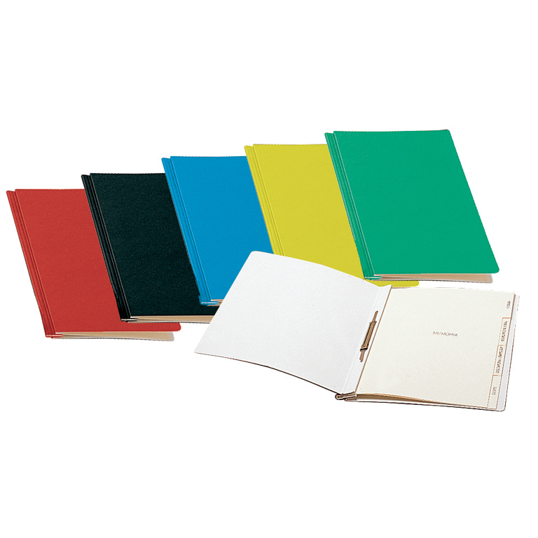 CARPETA PROYECTO MEMORIA ESSELTE A4 CARTON TELA COLORES SURTIDOS