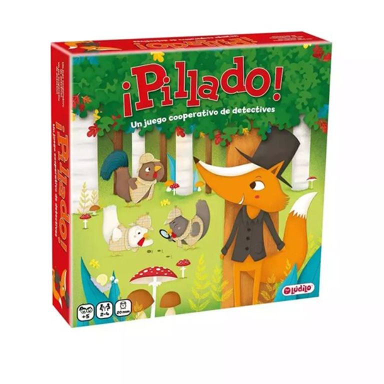 JUEGO LUDILO PILLADO